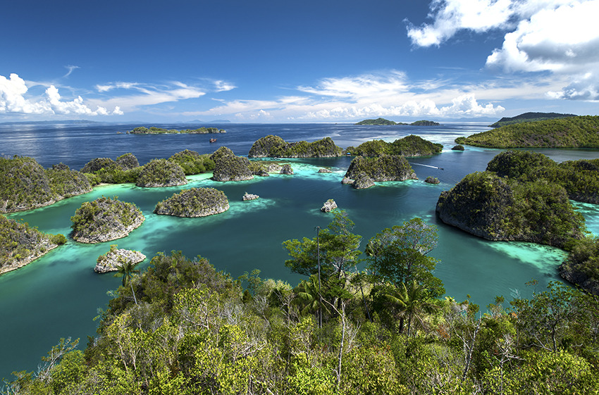 Image Raja ampat: croisière-plongée au paradis!