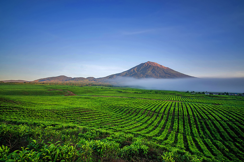 Image Sumatra: la vallée secrète