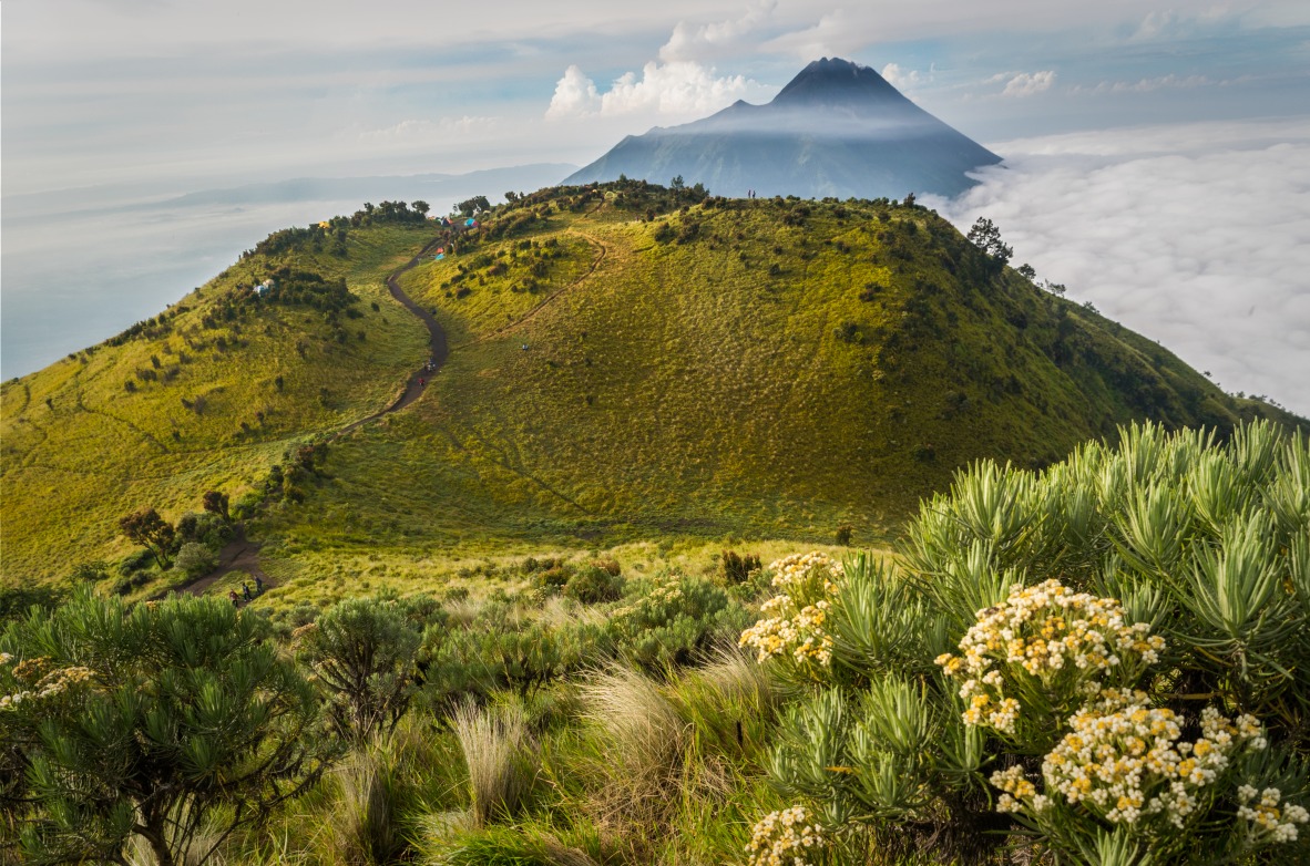 Image Merbabu: ascension de la