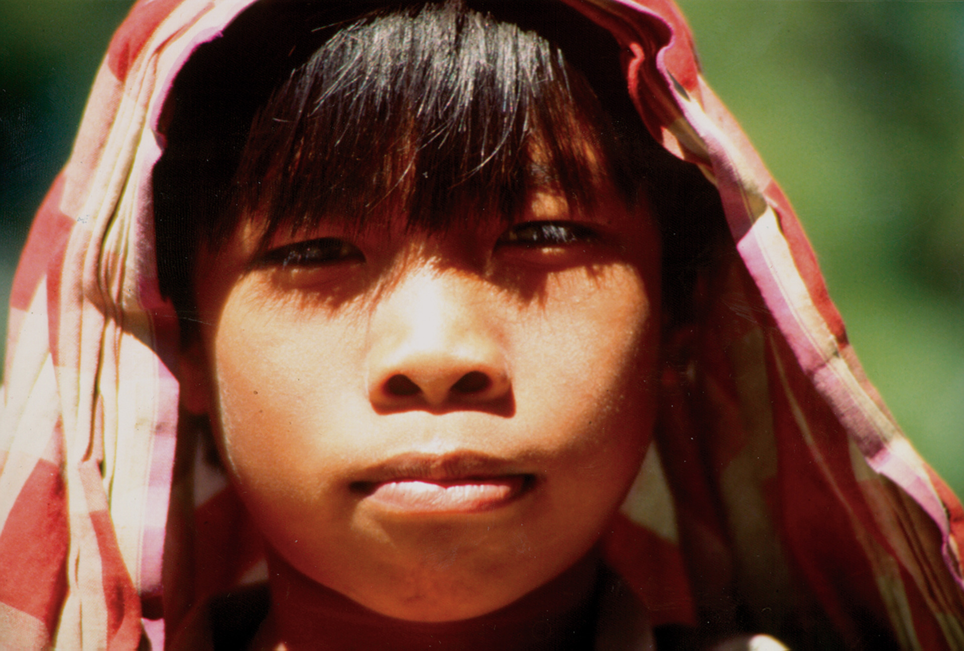 Image Tana toraja: découverte d'une culture animiste millénaire!