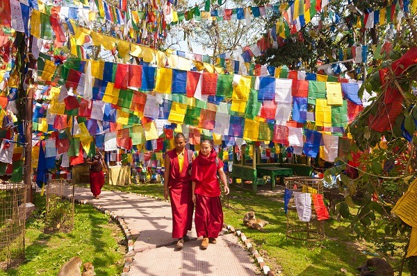 Image Trek Ă darjeeling singalila