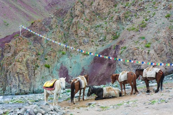 Image Stok kangri avec la vallée de markha