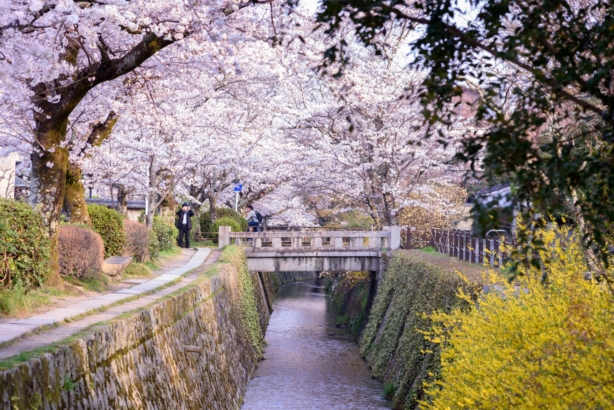 Image Le japon, une île aux mille facettes