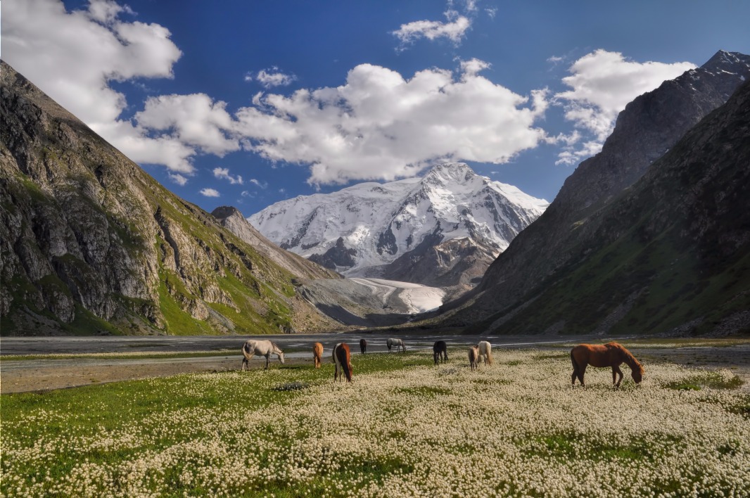Image Le long des sentiers kirghizes Ă cheval