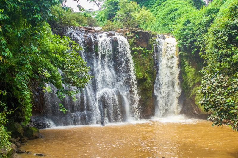 Image Trek et écotourisme dans la jungle du ratanakiri