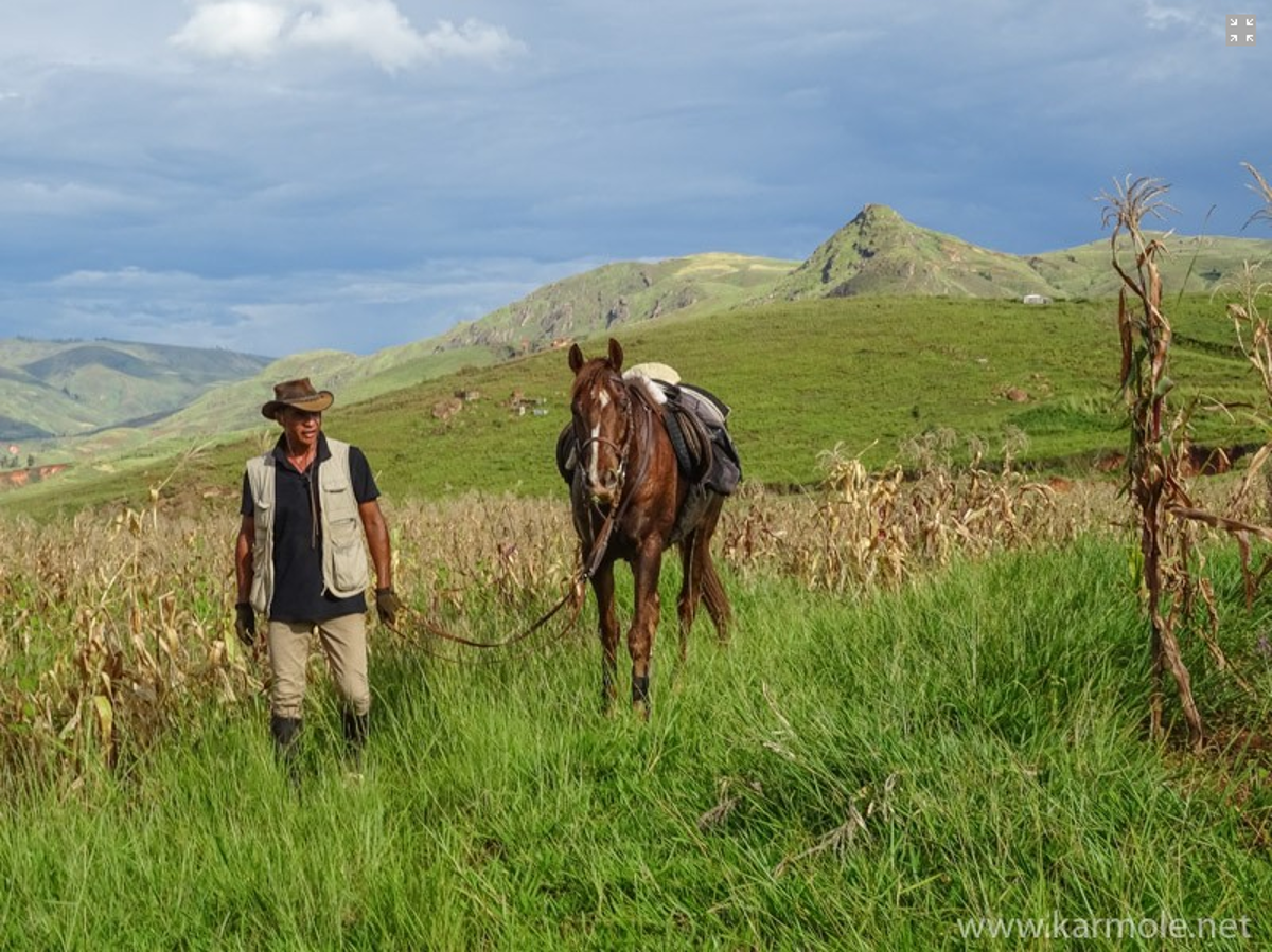 Image A cheval dans le moyen-ouest volcanique de l'île rouge