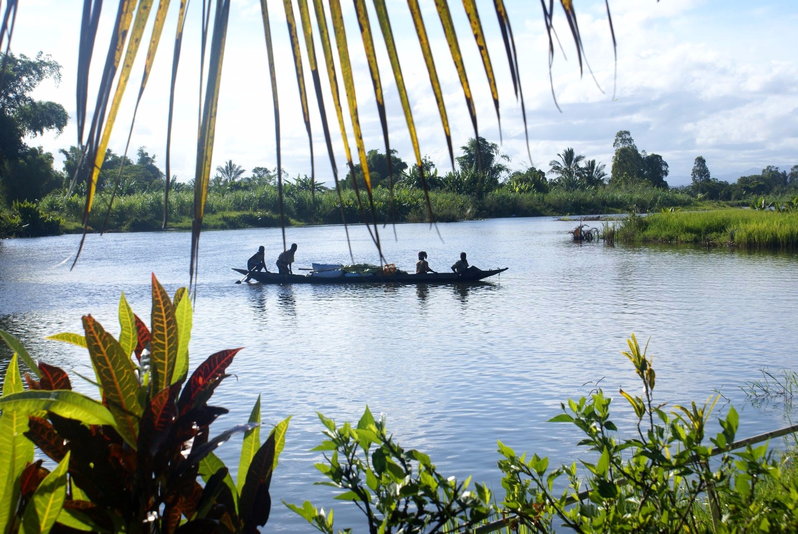 Image Canaux et luxuriance de l'est malgache