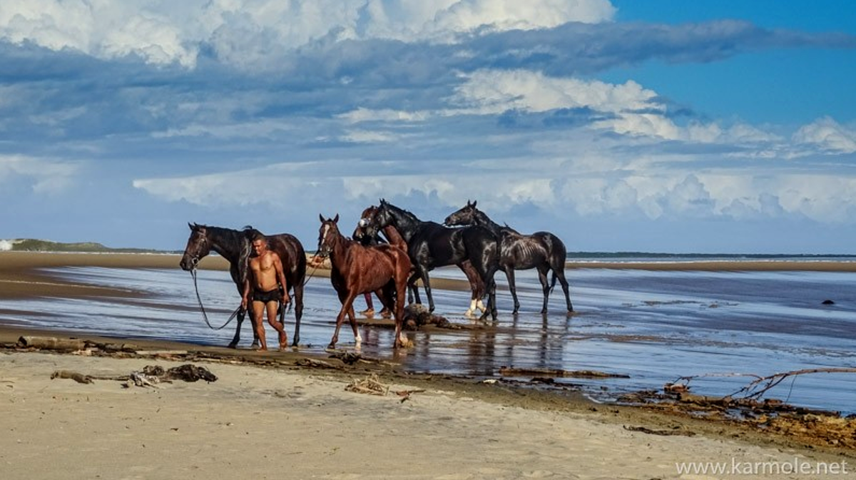 Image Randonnée équestre sur la côte est de madagascar