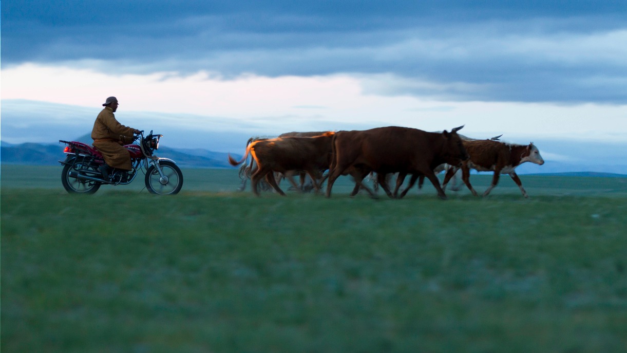 Image Vie nomade dans la vallée de l'orkhon