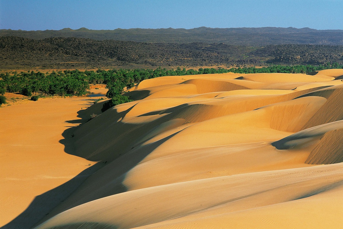 Image En randonnée chamelière en pays oulad sassi
