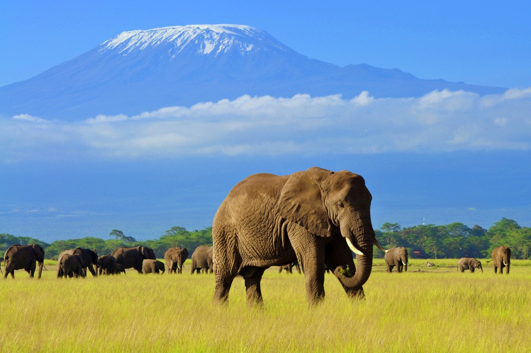 Image Ascension du mont kenya et du kilimanjaro