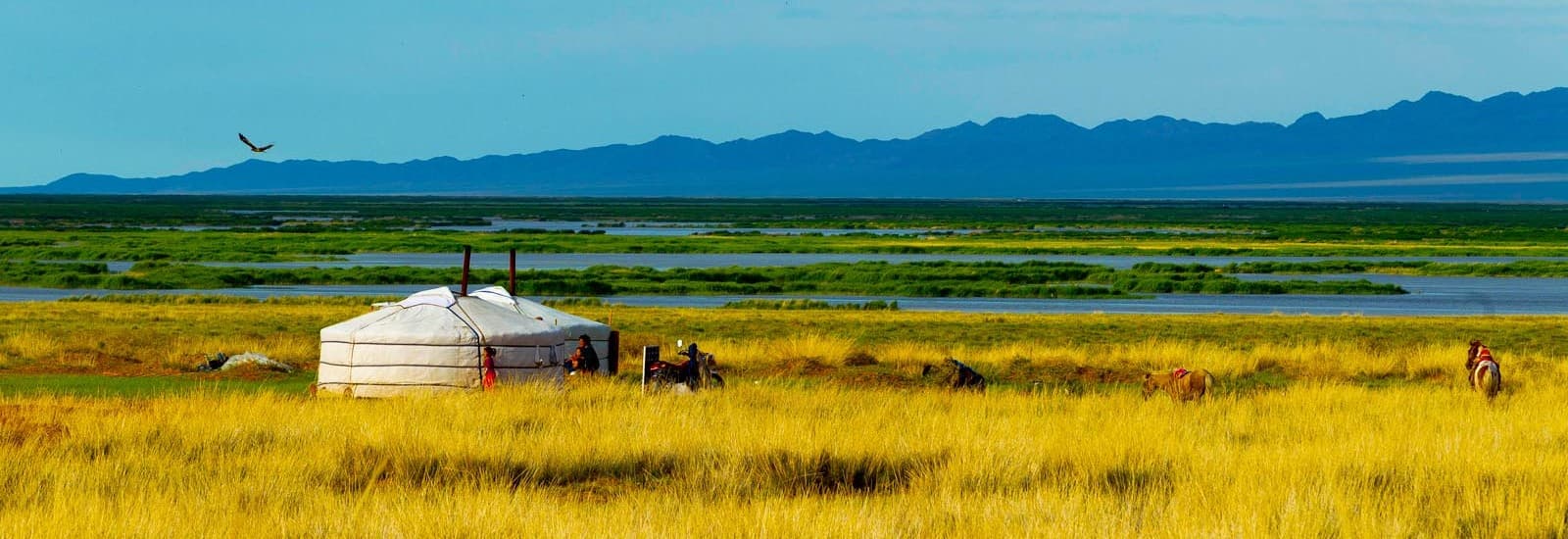 Mongolie
