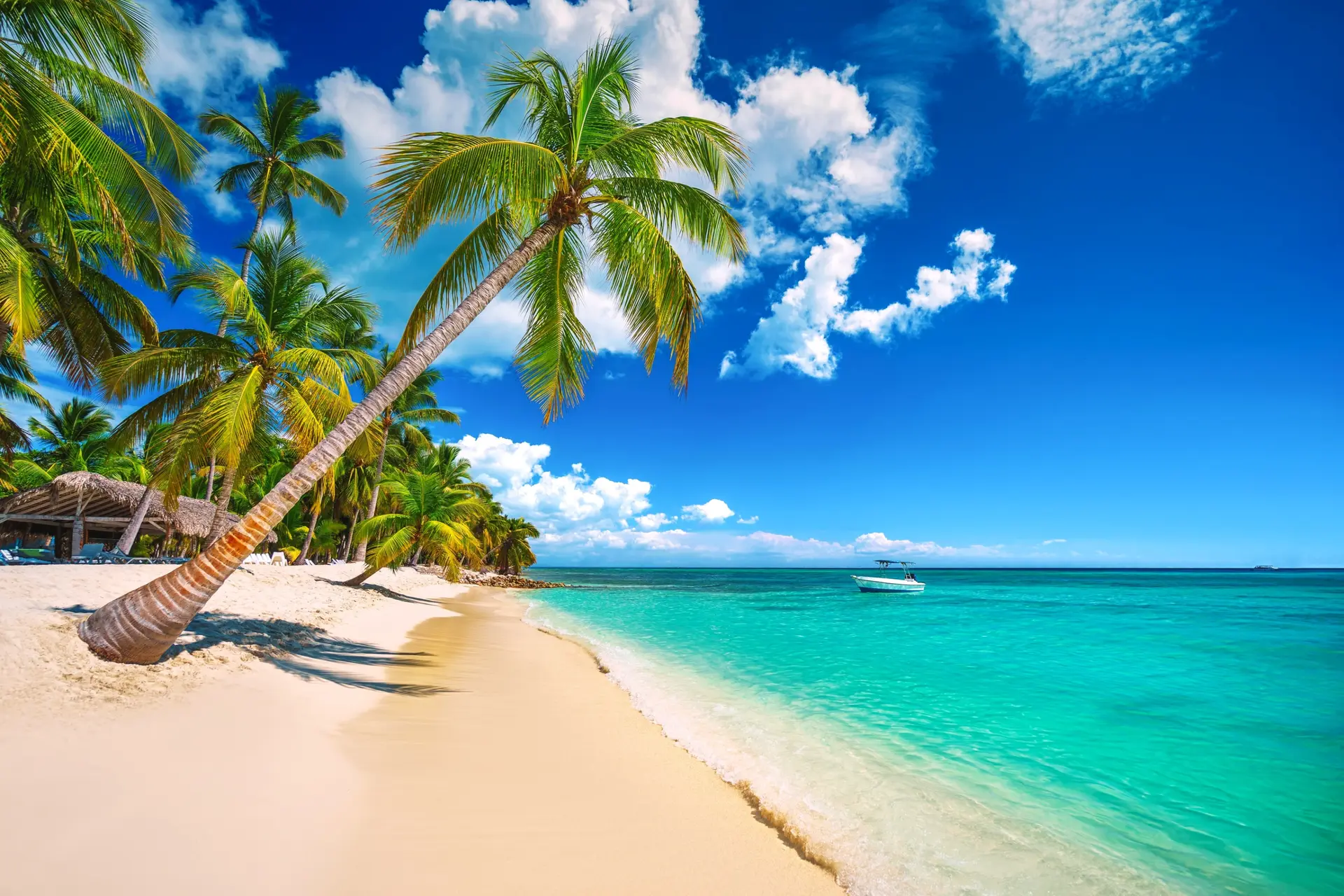 Plages caribéennes