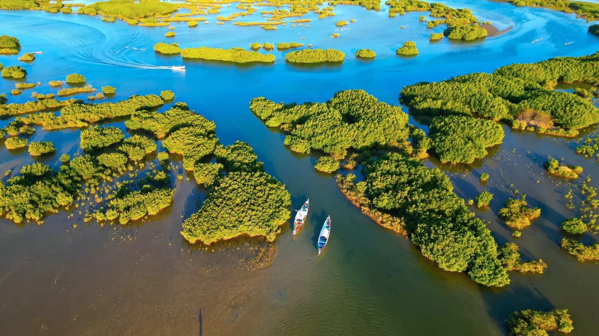 Delta du Sine Saloum