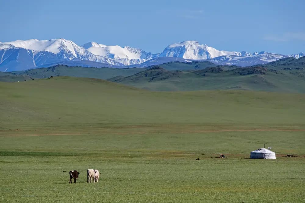 Circuits en Mongolie