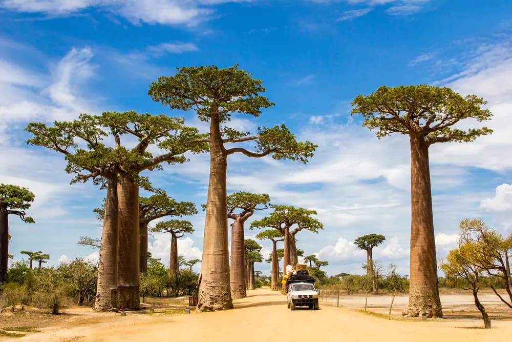 Madagascar