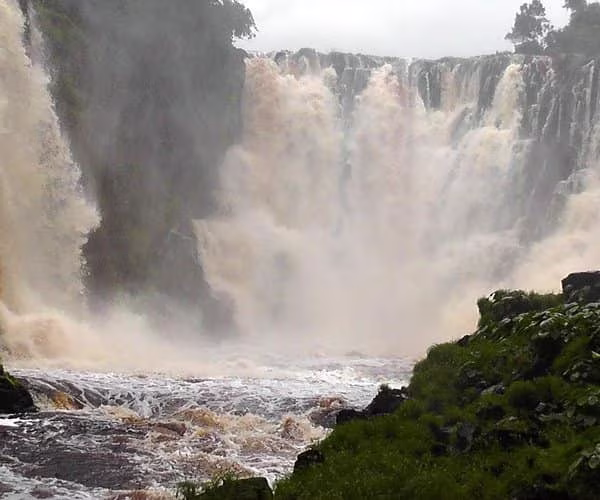 Des chutes de Kongou aux plages de Pongara Départ garanti