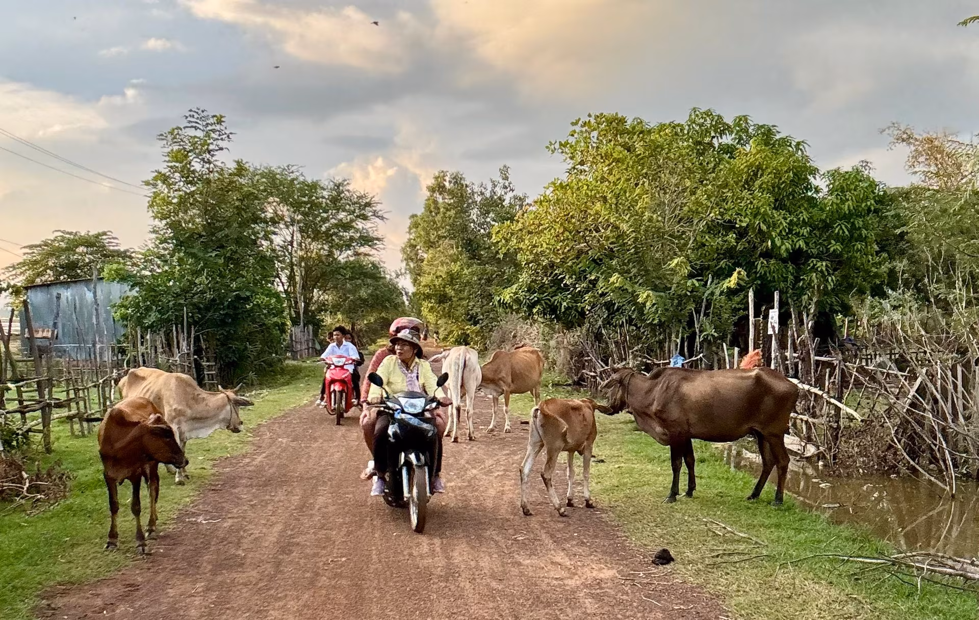 L'essentiel du Cambodge