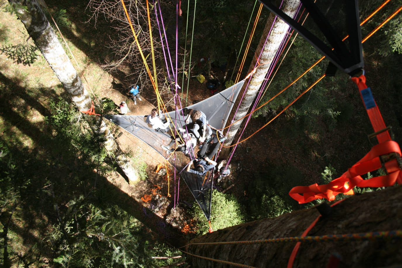 Initiation à la grimpe dans les arbres