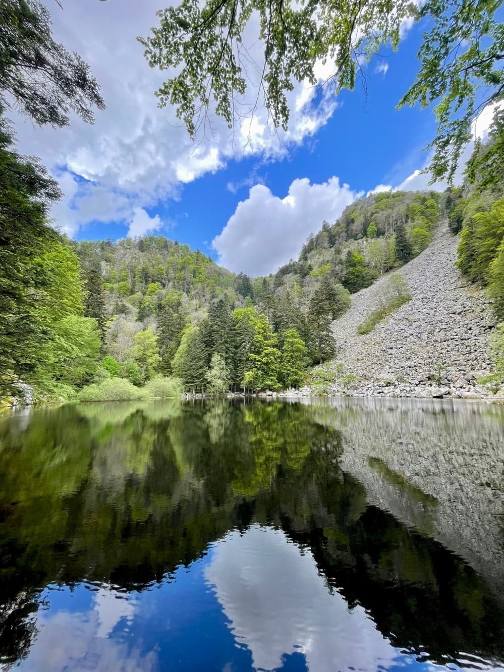De la vallée de Munster au refuge, première immersion dans les Vosges