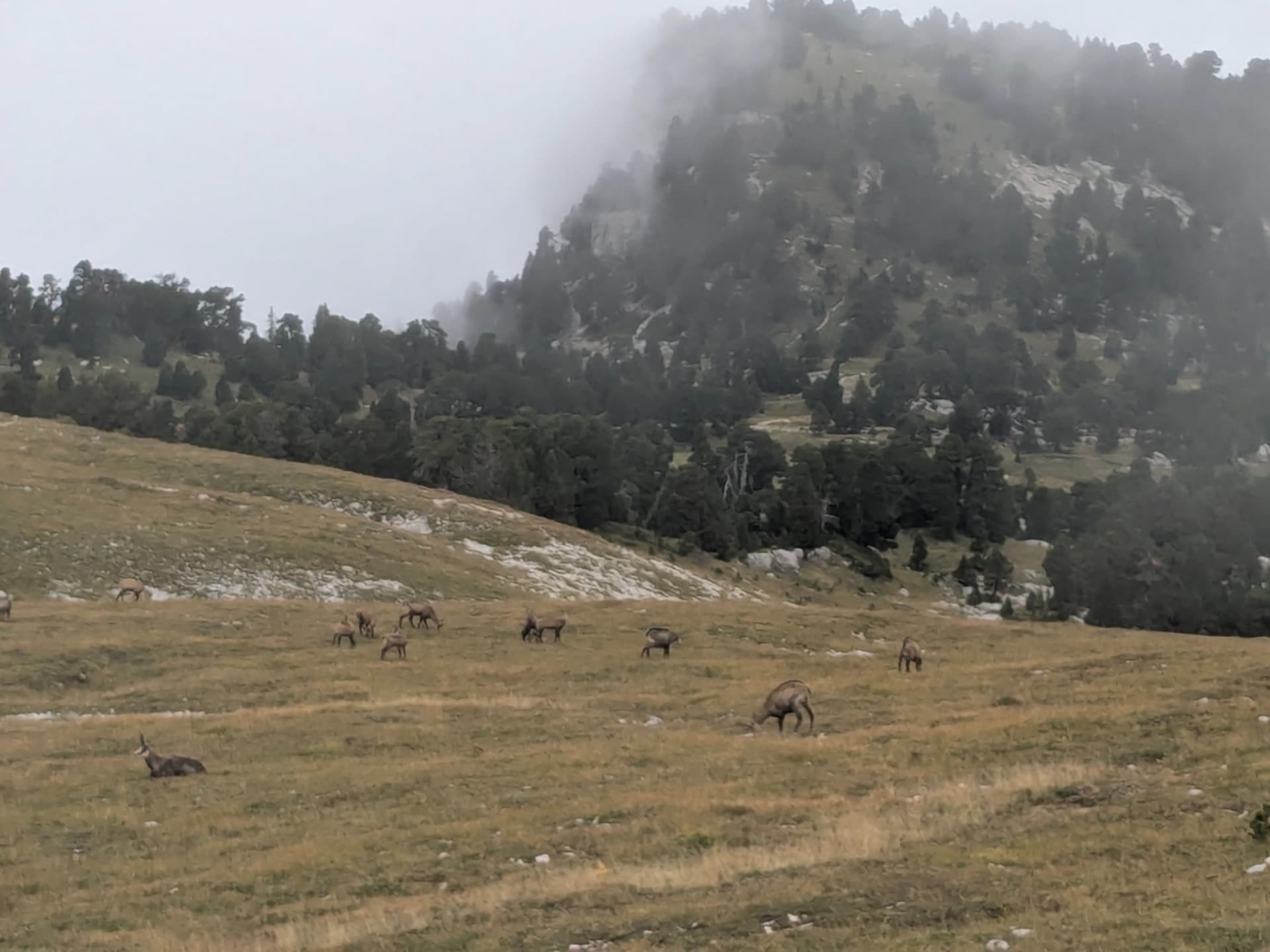 Sur les crêtes de la Chartreuse