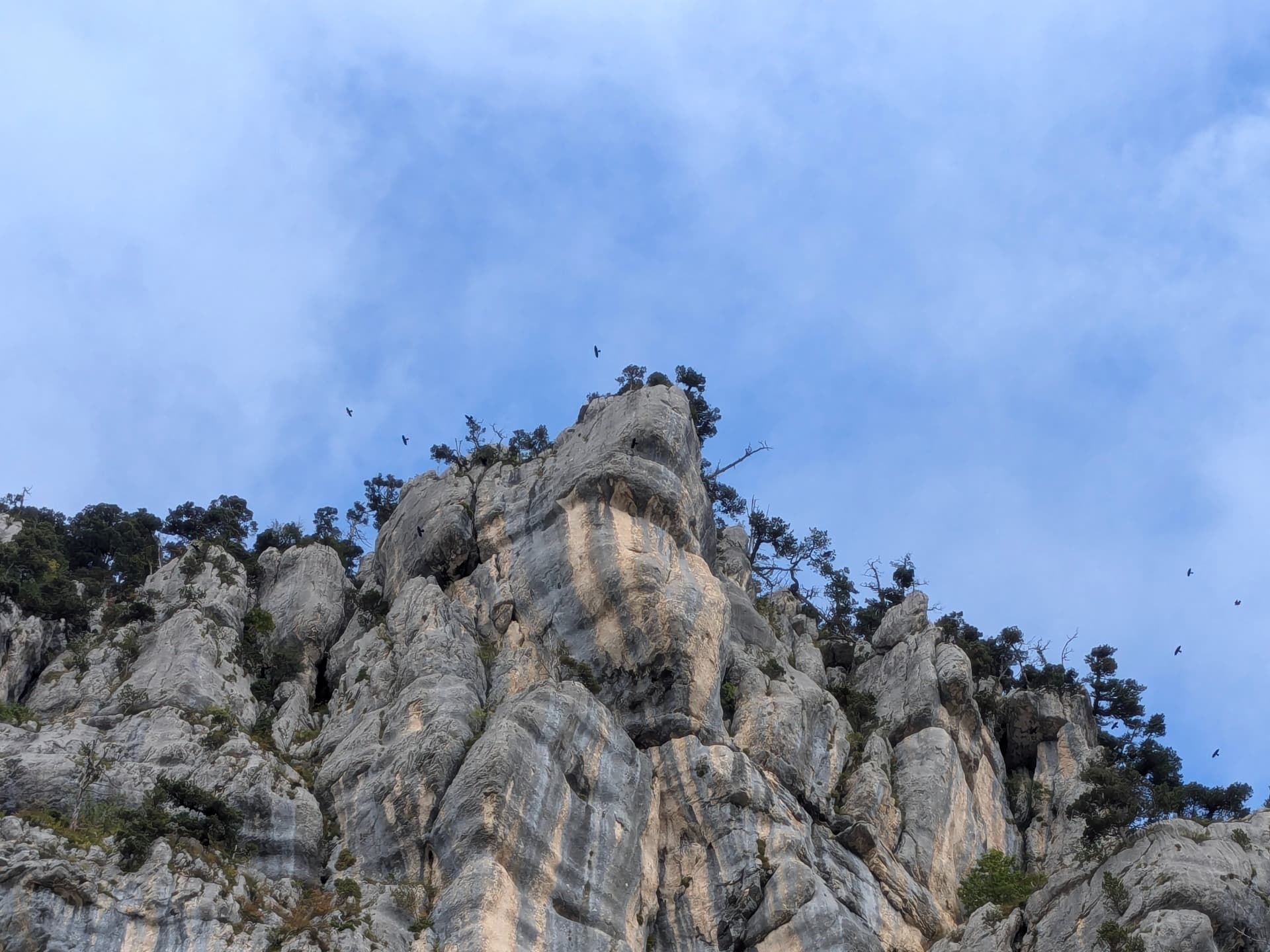 Quittons la ville pour les Hauts de Chartreuse