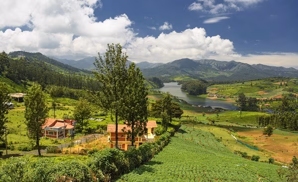 Découverte du Sud de l'Inde