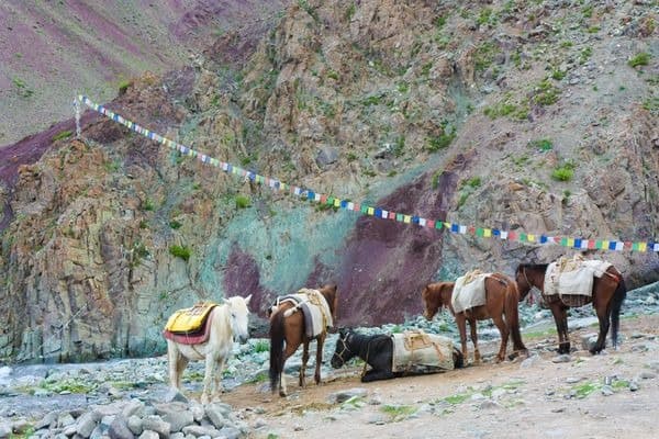 Stok Kangri avec la vallée de Markha