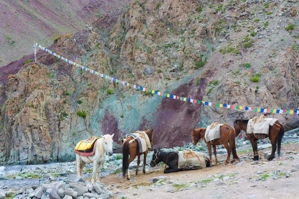 Stok Kangri avec la vallée de Markha