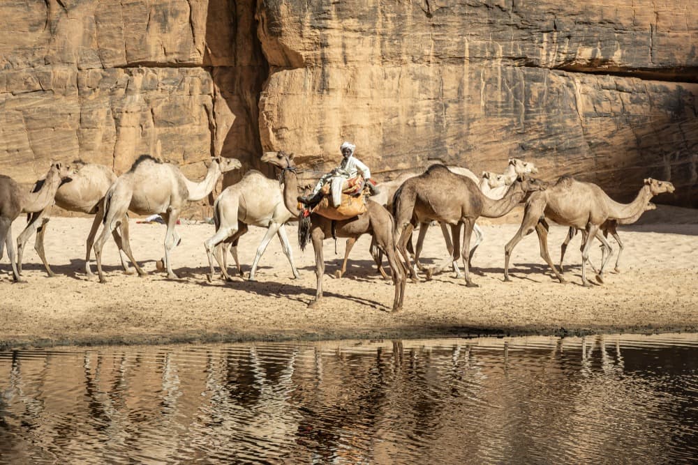 Guelta d'Archei