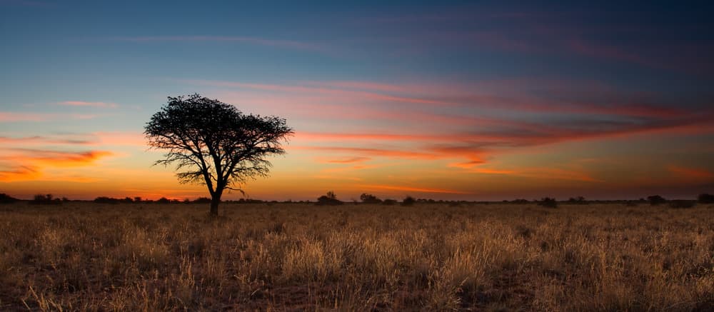 Jour 8