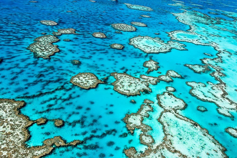 Grande Barrière de Corail