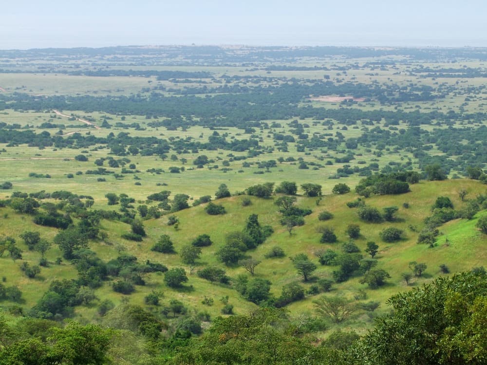 Réserve naturelle de Kabwoya