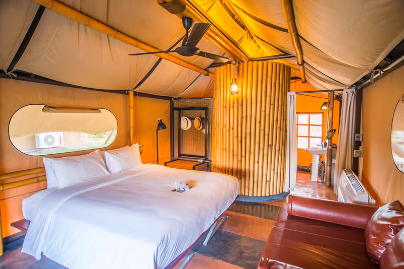 DLX Siyanda Tent