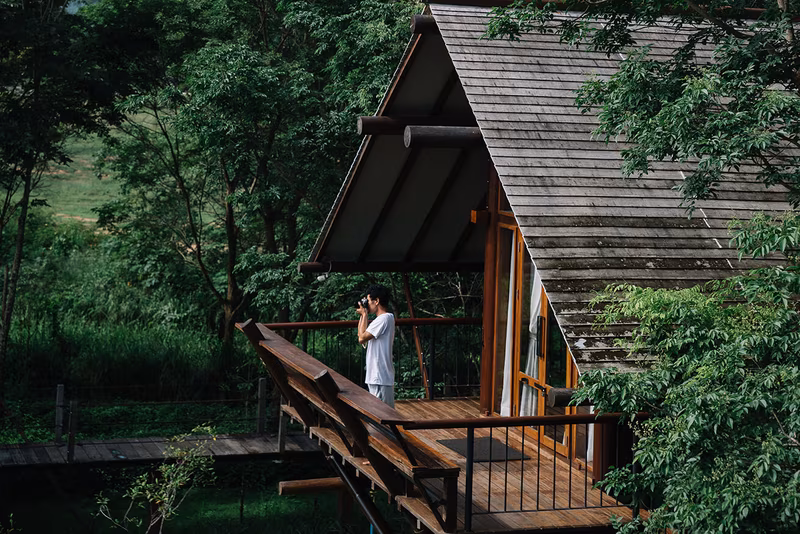 LOFT Tree House
