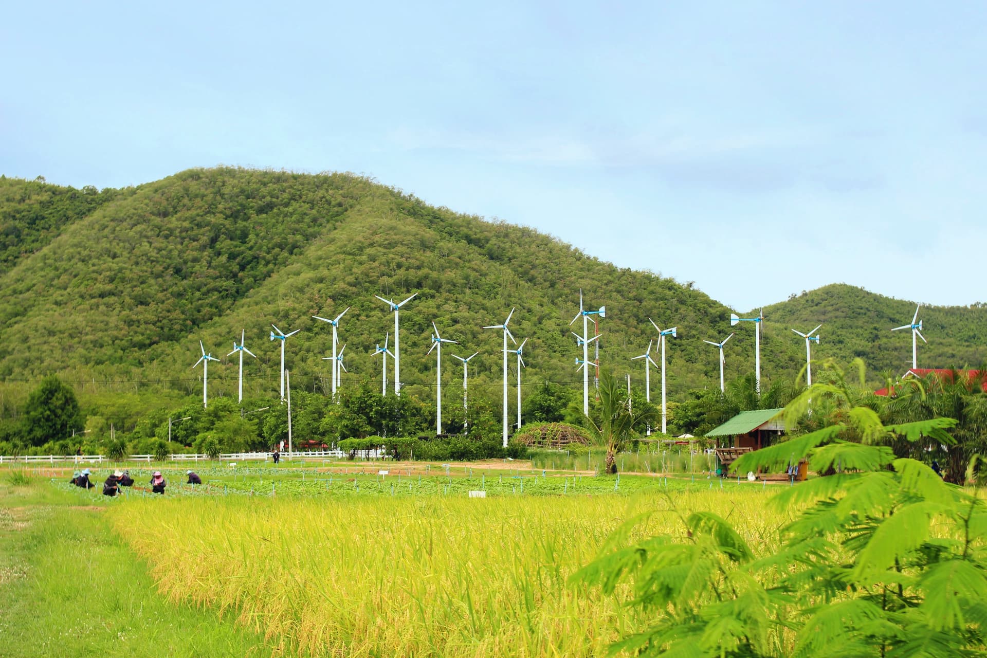 Province de Phetchaburi
