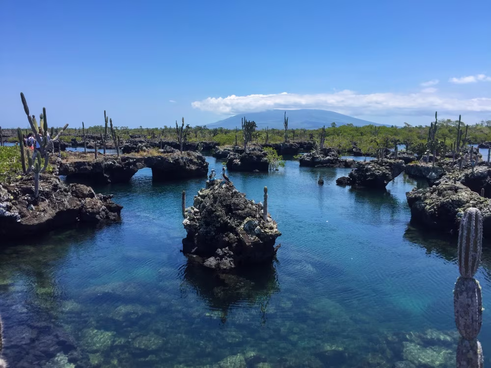 Evasion liberté aux Galápagos 8 jours