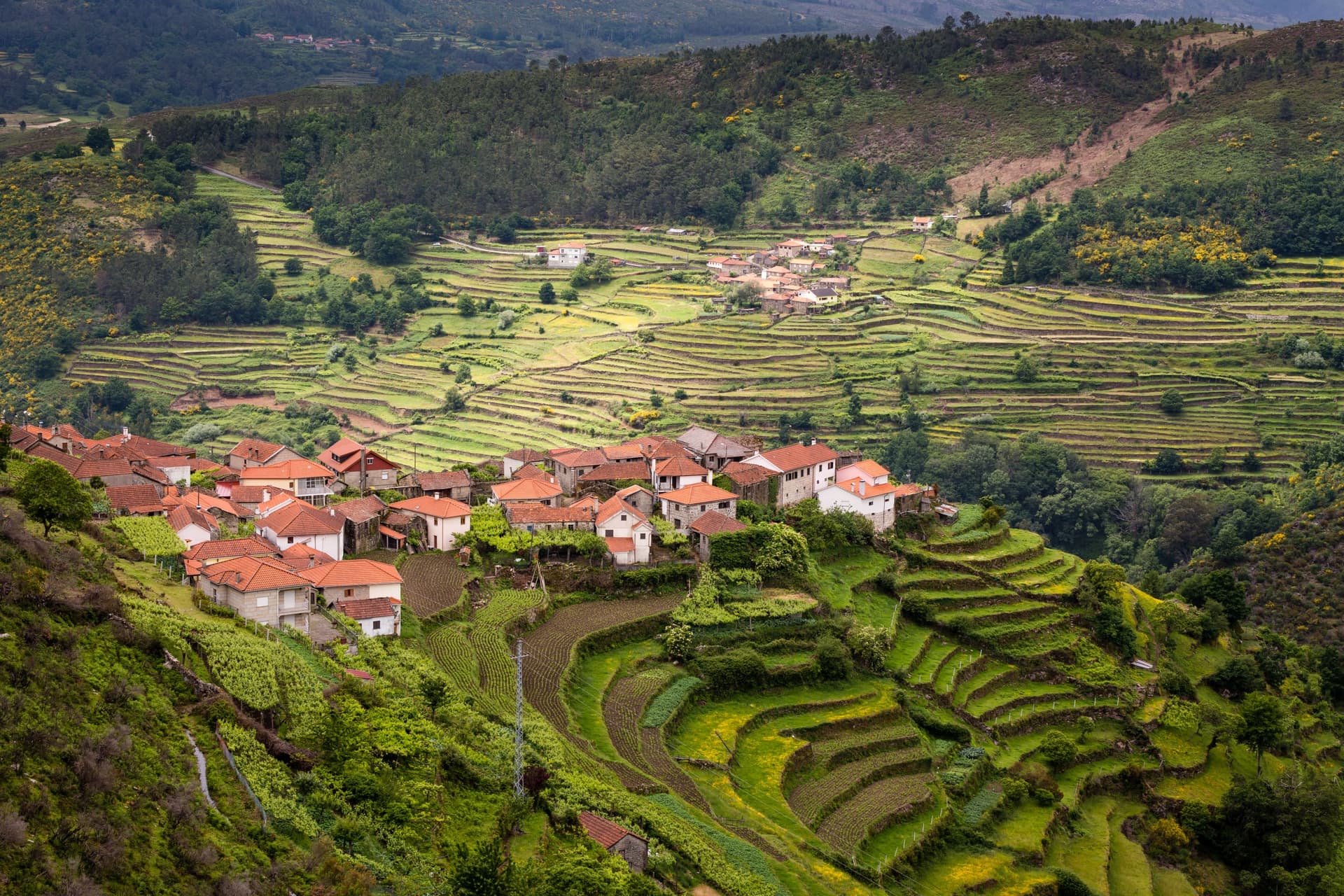 Portugal authentique : traditions du Nord et du Centre