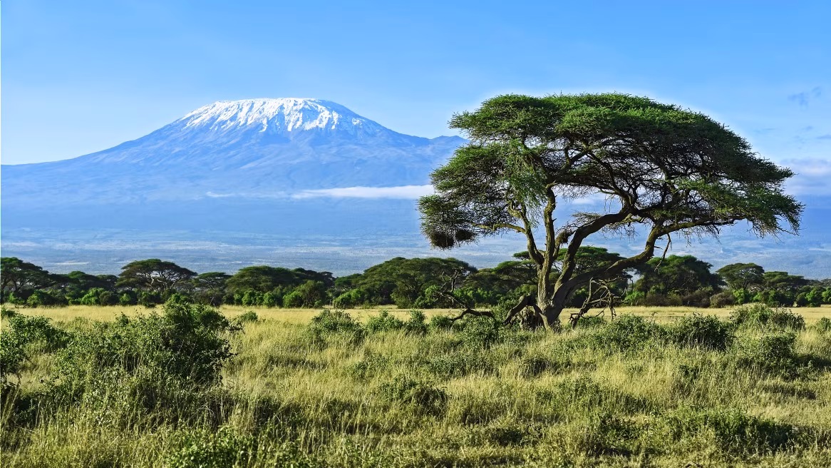 Machame Route : 6 jours / 5 nuits dans la montagne