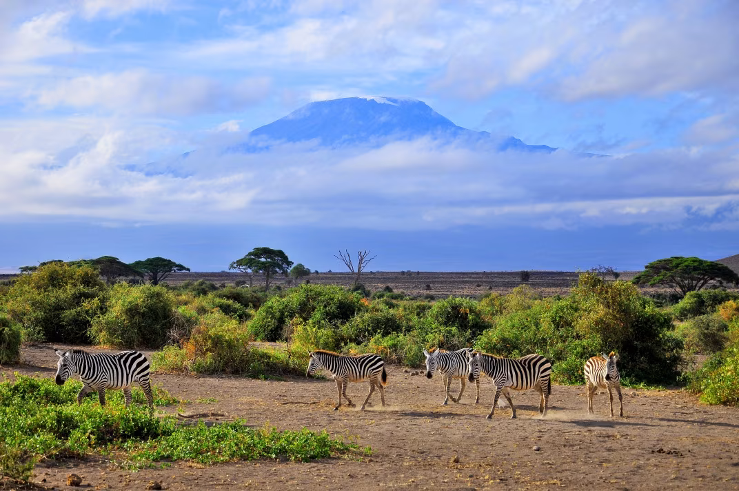 Toit de l'Afrique & Vie Sauvage