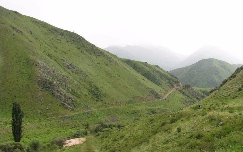 Shamshy gorge