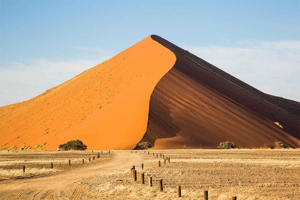 Desert Camp