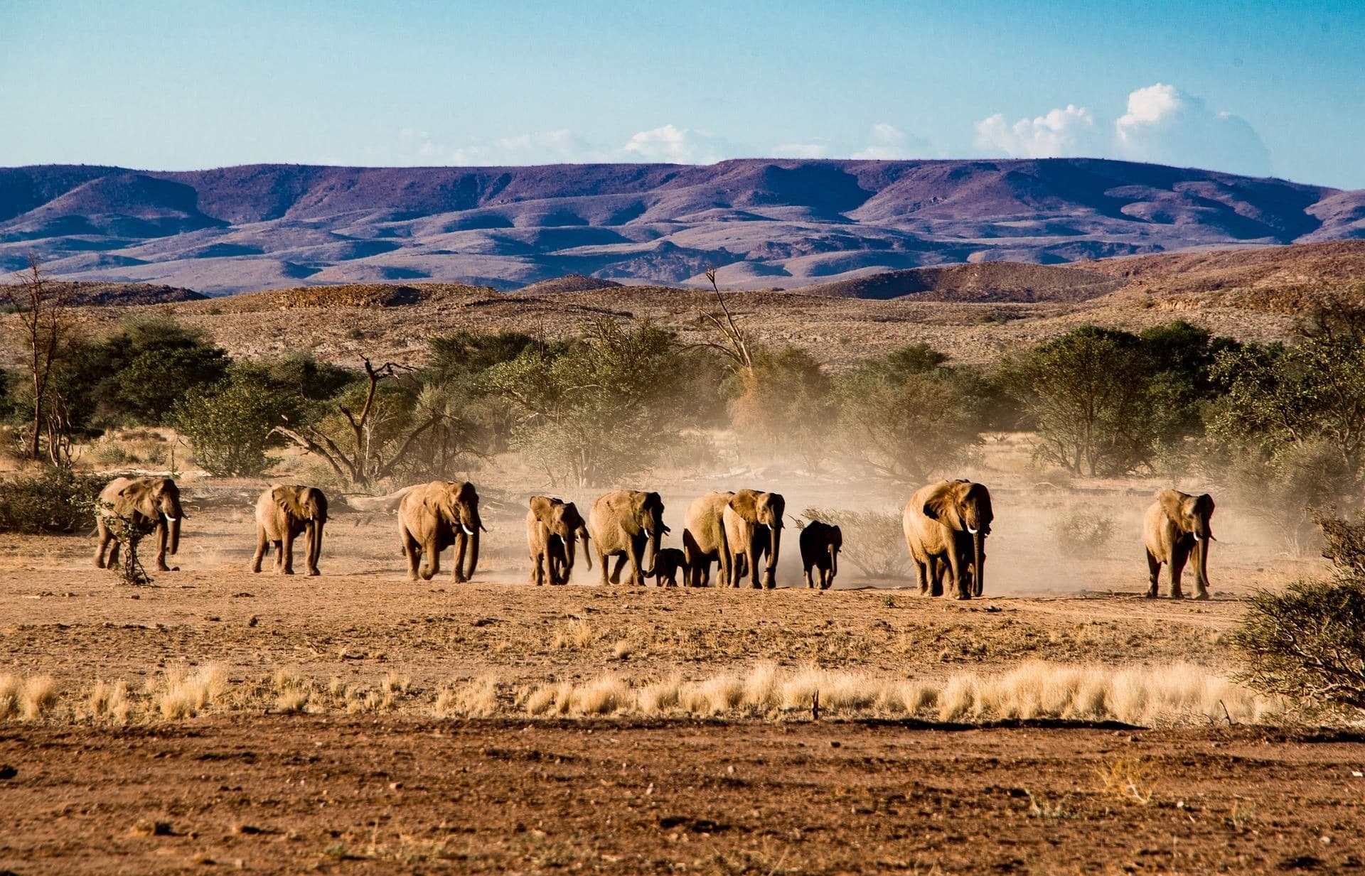 Namibie en 4x4 privé — Confort