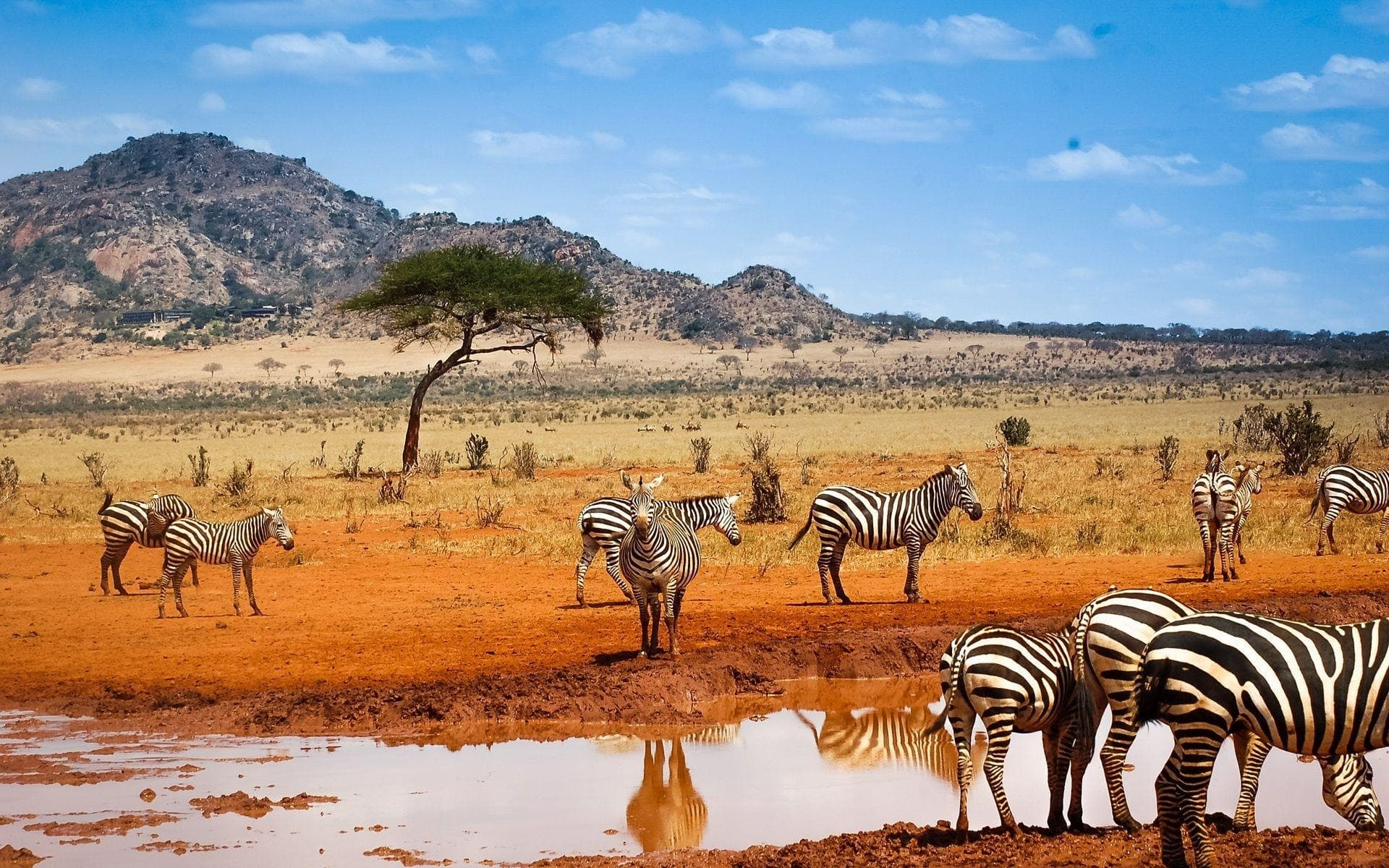 Namibie en 4x4 privé — Luxe