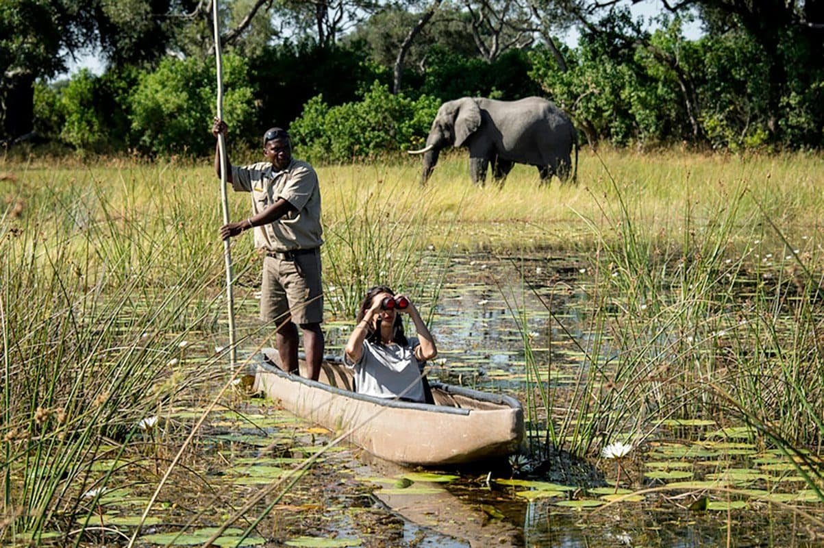 Delta de l’Okavango : envol vers la concession de Kwara et safari
