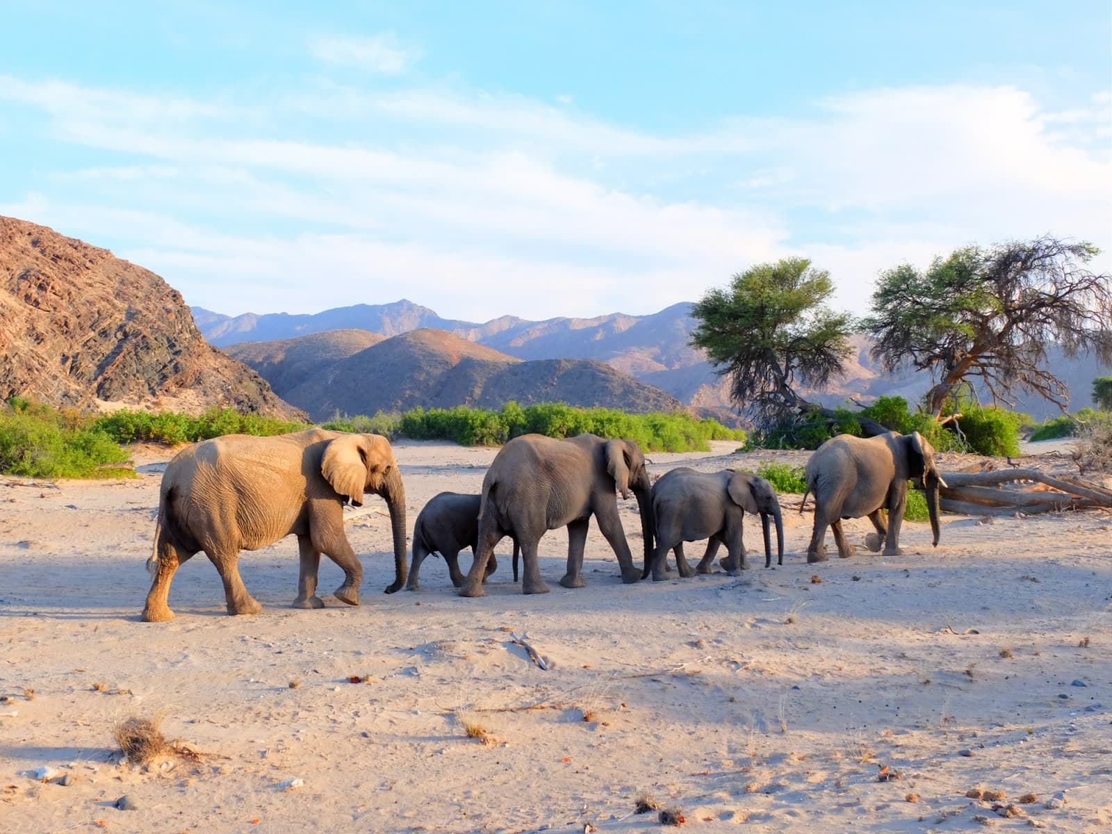 Damaraland - paysages et safari au coucher du soleil