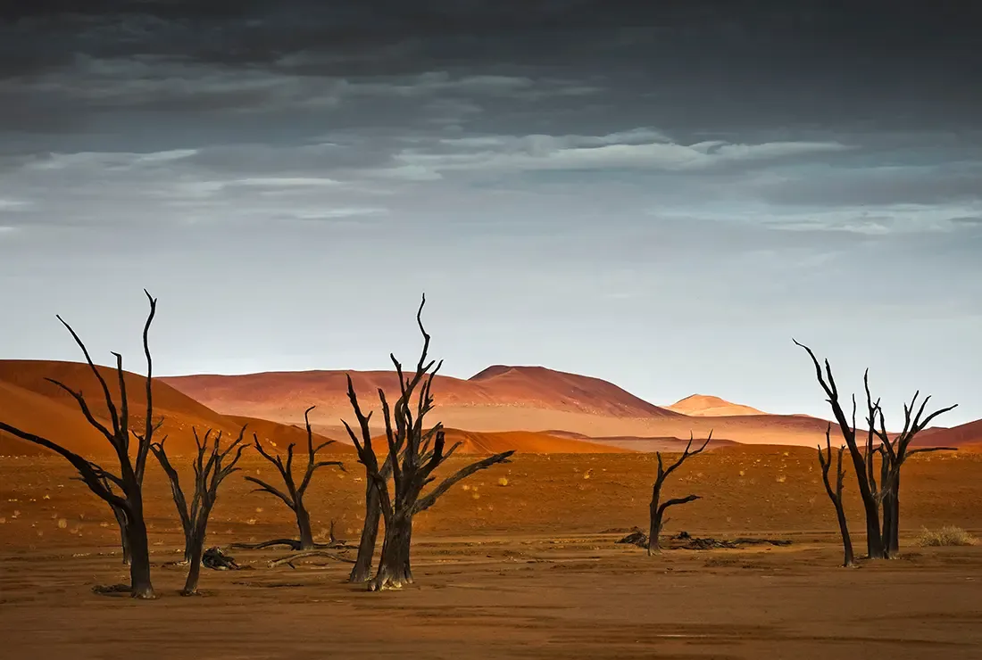 Sossusvlei et les dunes du désert du Namib