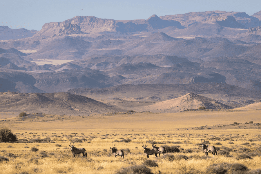 Désert du Namib & Sossusvlei