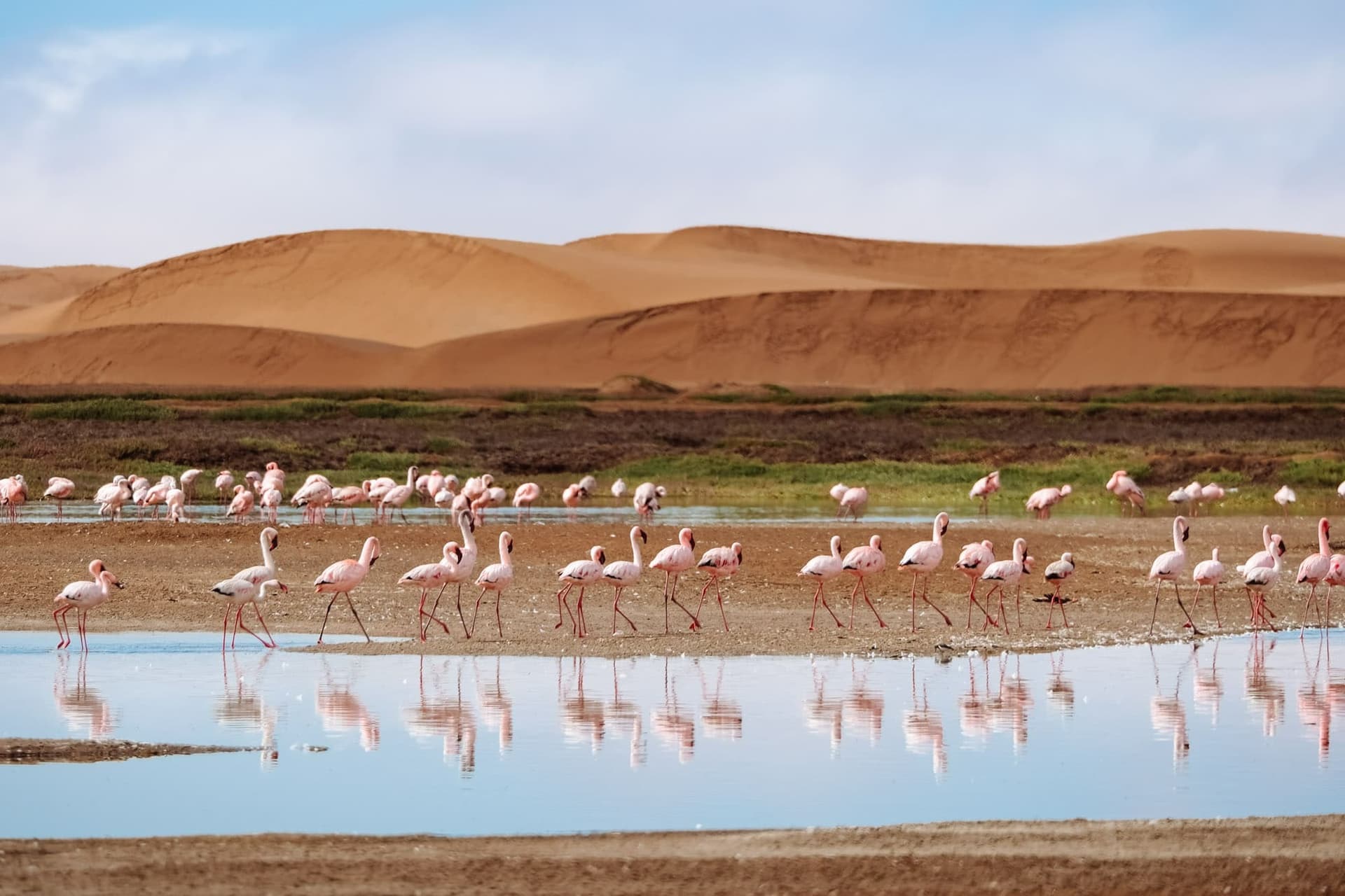 Journée libre à Swakopmund