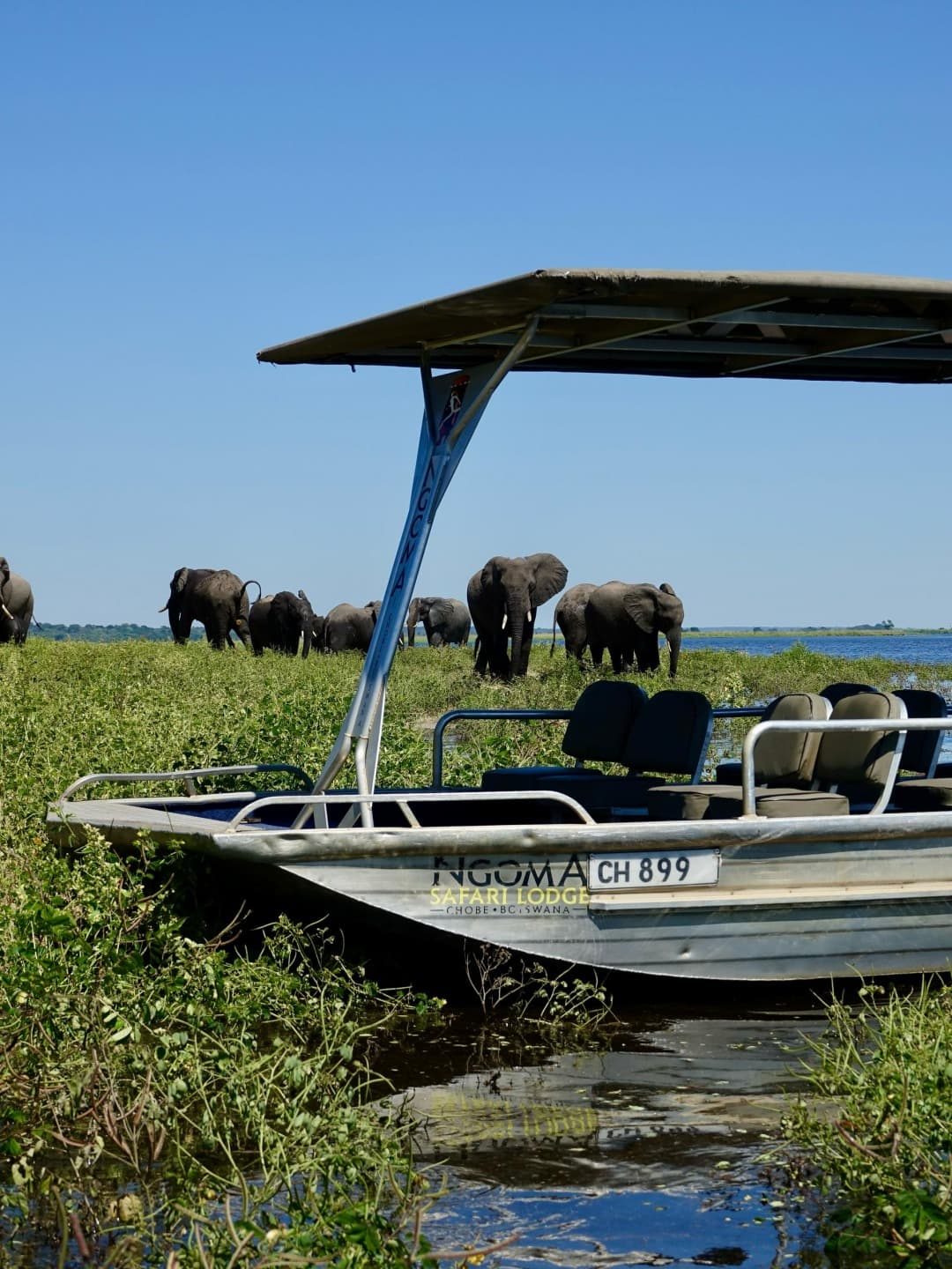 Safari au Buffalo Park et navigation sur l’Okavango